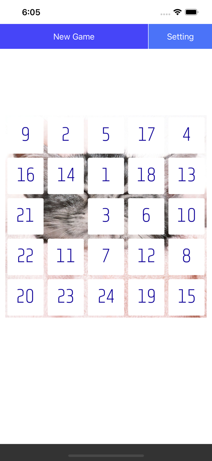 Twenty Five Puzzle