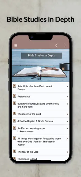 Game screenshot Bible Studies in Depth Daily apk