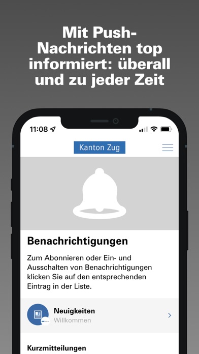 Abstimmung Screenshot