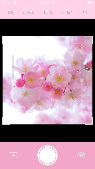 Screenshot #1 pour DICA - Cherry Blossom