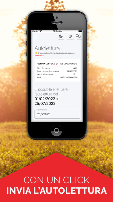 Gestione Italia Spa Screenshot