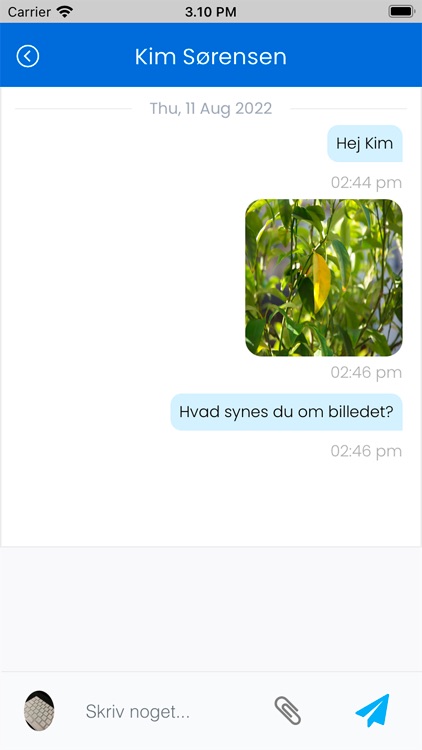 Surfway screenshot-5