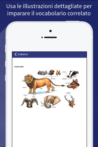 Dizionario Oxford Studyのおすすめ画像3