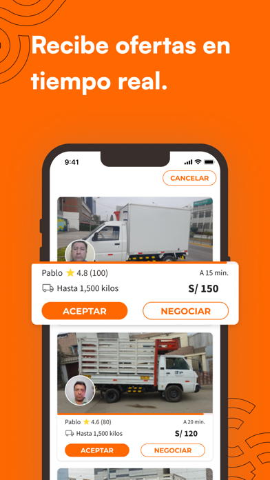 PegaCargo Screenshot