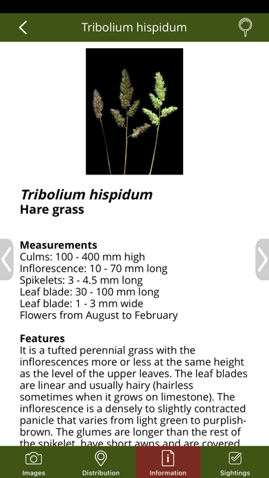 GrassPro Screenshot