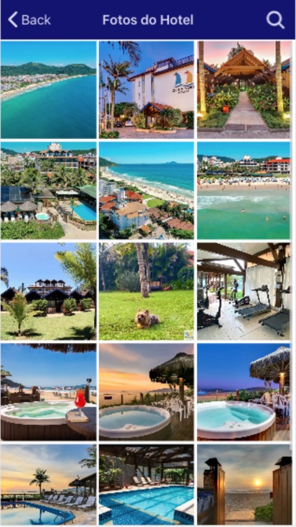 Hotéis Costa Norte screenshot-4