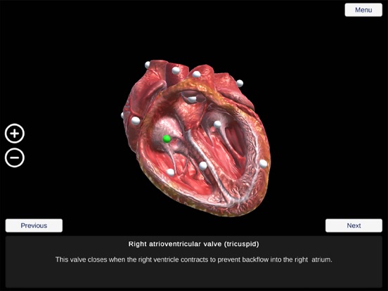 Human Heart screenshot 2