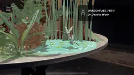 Game screenshot Insects & Us mod apk