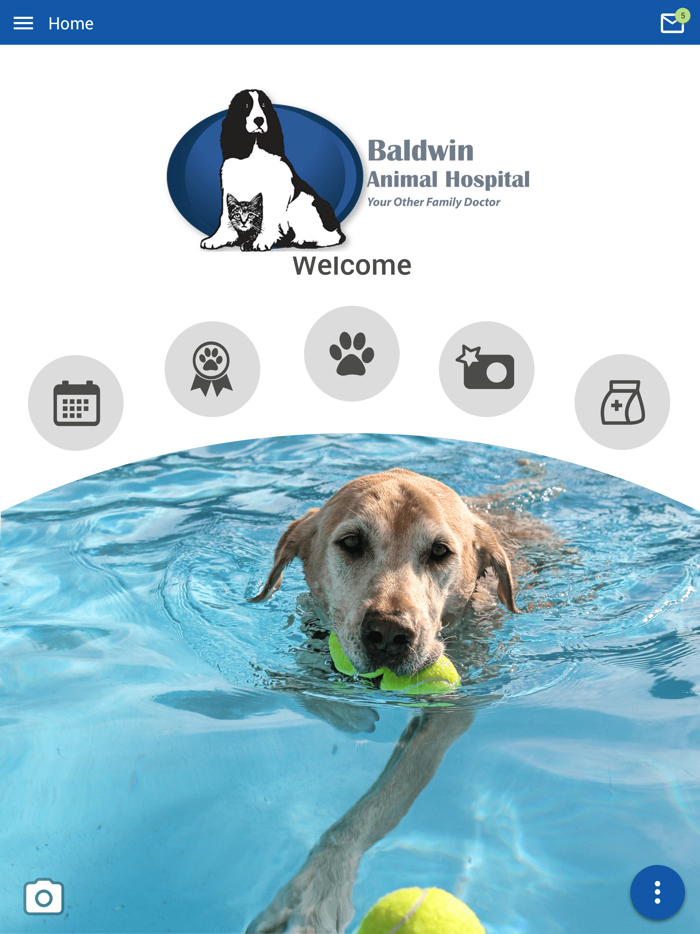 Baldwin Animal Hospital NY