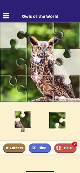 Game screenshot Owls of the World Puzzle mod apk