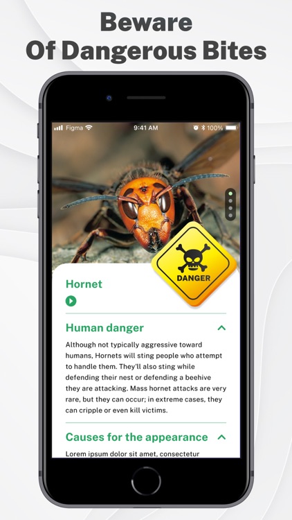 Insects & Bugs Identifier ID