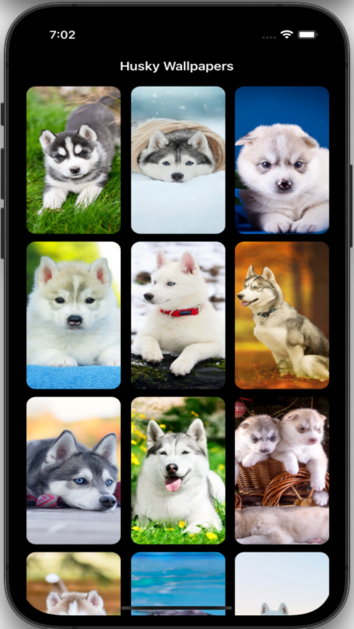 Husky Wallpapers HD Pro