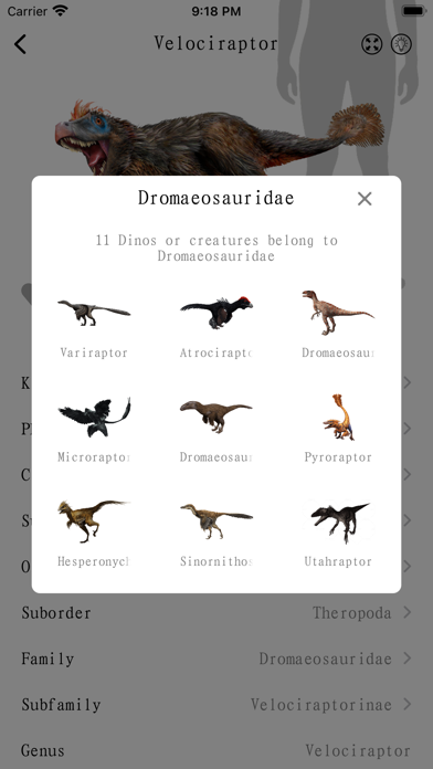 Dinopedia -kids' dinosaur park Screenshot