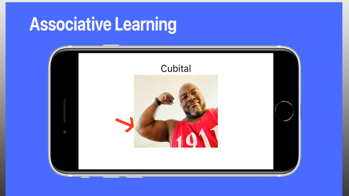 Essential Nursing Vocabulary