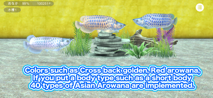 My Asian arowana Aquarium