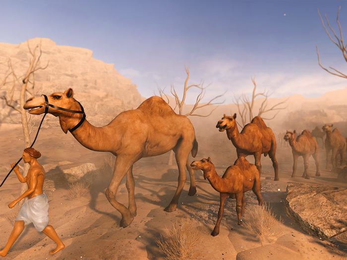 Camel Life Survival Simulator
