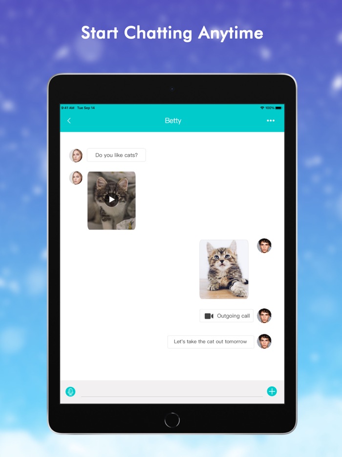 CatLand Breeding  Adoption