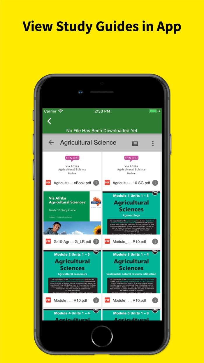 Grade 10 Exam Papers