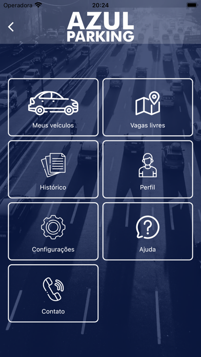 Azul Parking Screenshot