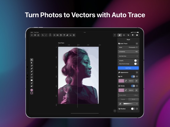 Vectornator - Graphic Design iPad app afbeelding 10