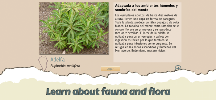 The flight of the rook