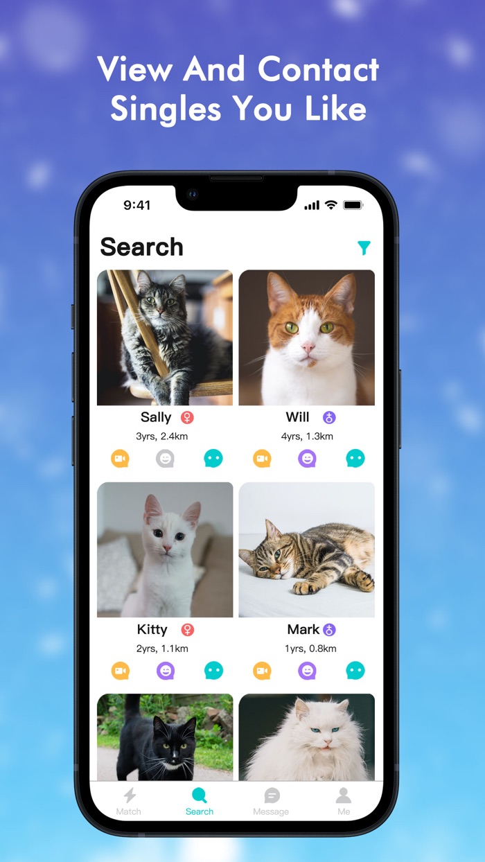 CatLand Breeding  Adoption