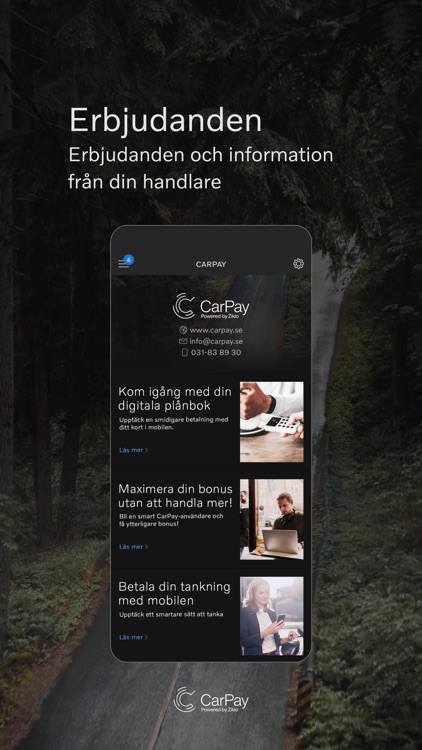 CarPay screenshot-4