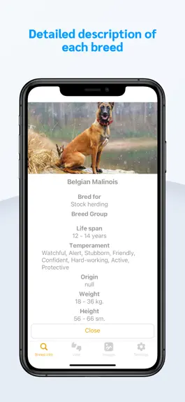 Game screenshot Dog Breeds Guid apk