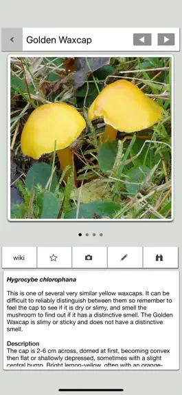 Game screenshot Mushrooms & other Fungi UK hack