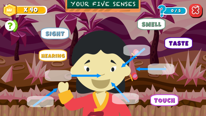 Junior Academy Pro Edition