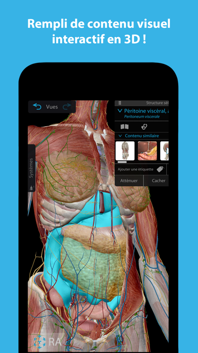 Screenshot #1 pour Atlas d'anatomie humaine 2024