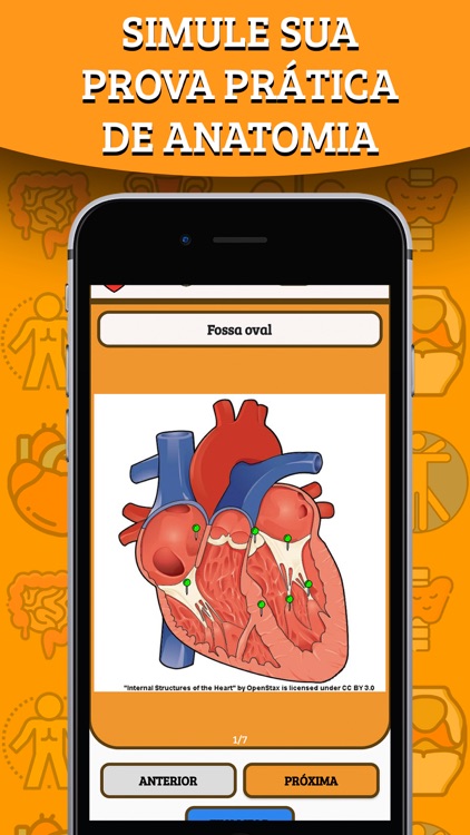 Anatomania - Quiz de Anatomia screenshot-8