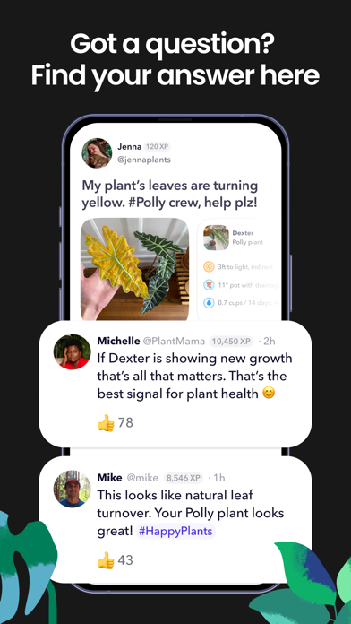 Greg: Plant Identifier & Care Screenshot