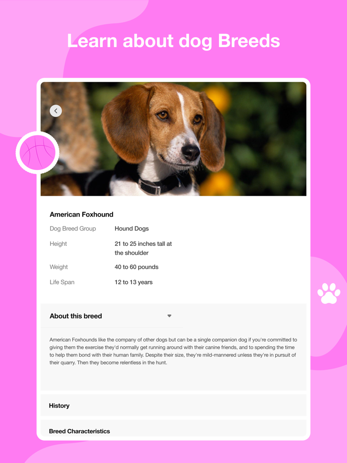 Dog scanner - Dog Breed ID