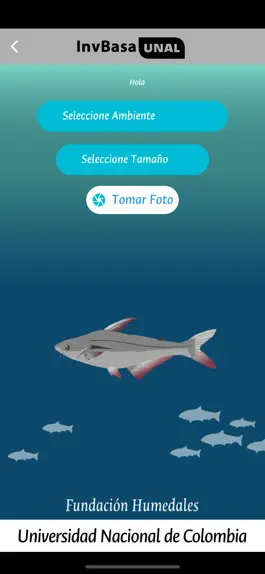Game screenshot InvBasa UNAL mod apk