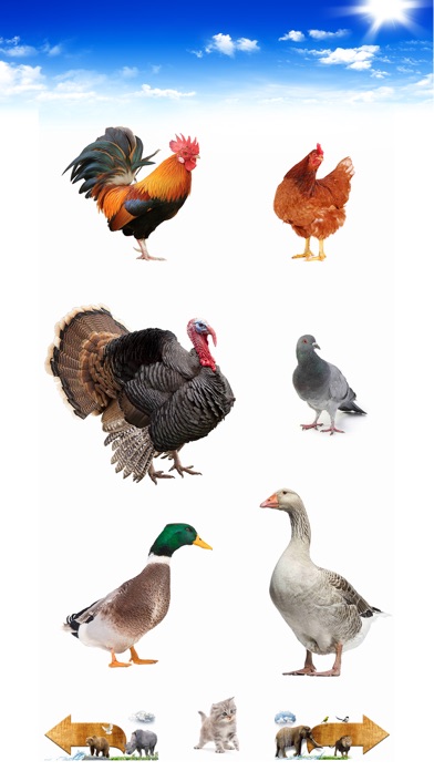 Amazing Animal Sounds Pro Screenshot