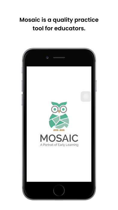 Mosaic Educator Screenshot