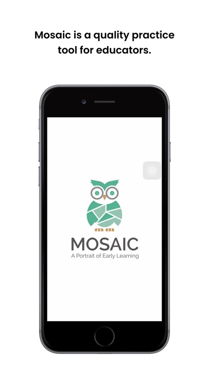 Mosaic Educator