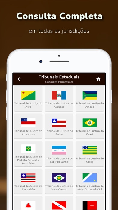 Consulta Processo Judicial Screenshot