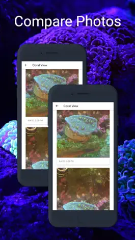 Game screenshot Reef Tracker hack