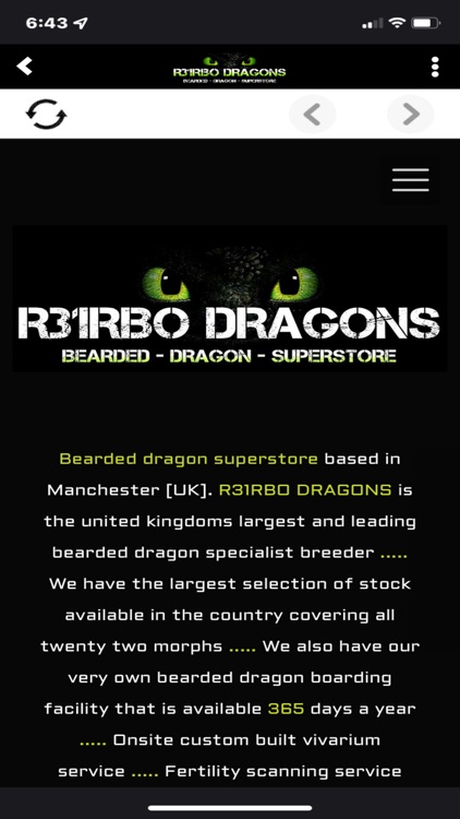 R31RBO DRAGONS screenshot-3