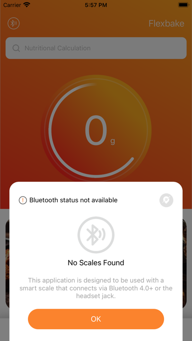 FlexBake Screenshot
