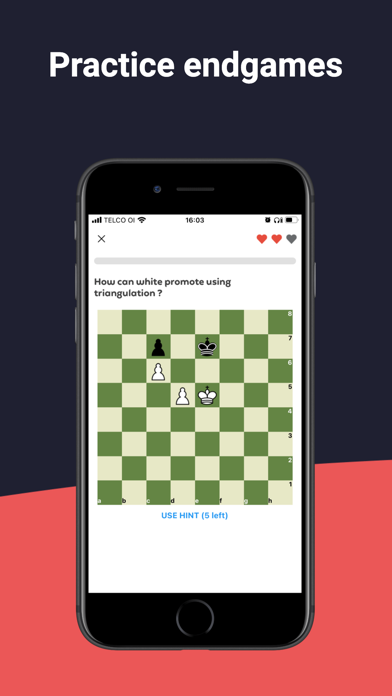 ChessNuts Mini-Games & Puzzles Screenshot