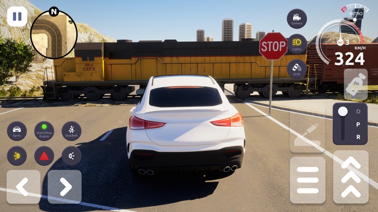3D Suv Car Driving Simulator screenshot-4