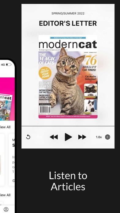 Modern Cat Screenshot