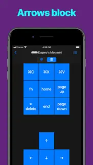 remote keypad and numpad pro iphone screenshot 2