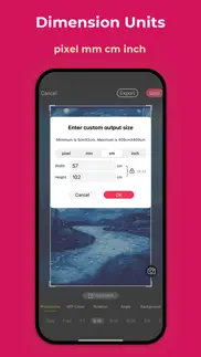 image resizer & text editor iphone screenshot 2
