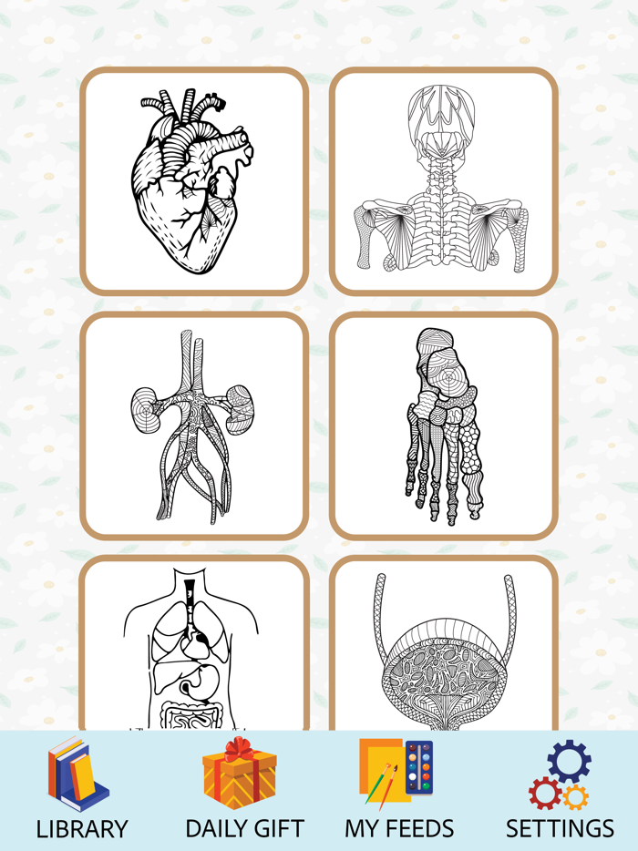 Anatomy Coloring Book.