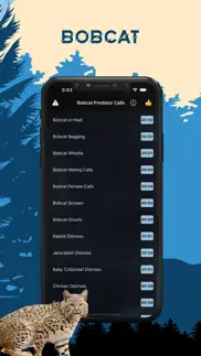 bobcat magnet - predator calls iphone screenshot 1