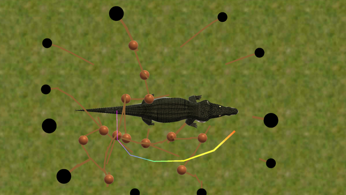 Everglades presented by MAGIC